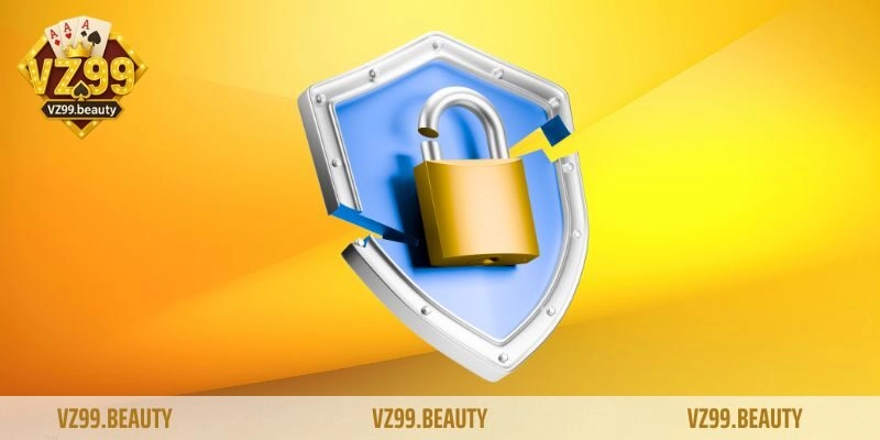 Tổng quan về quyền riêng tư VZ99