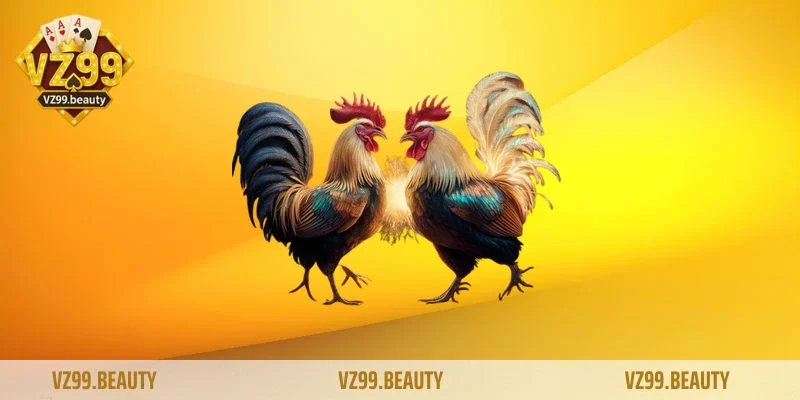 Tỷ lệ cược hấp dẫn